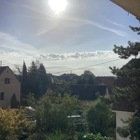 Cosy 3 Rue Des Ormes Ostwald 67540