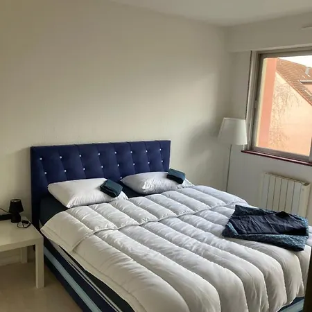 Appartement Cosy 3 Rue Des Ormes Ostwald 67540 *