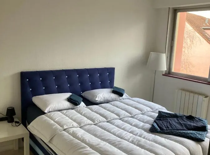 Appartement Cosy 3 Rue Des Ormes Ostwald 67540 *